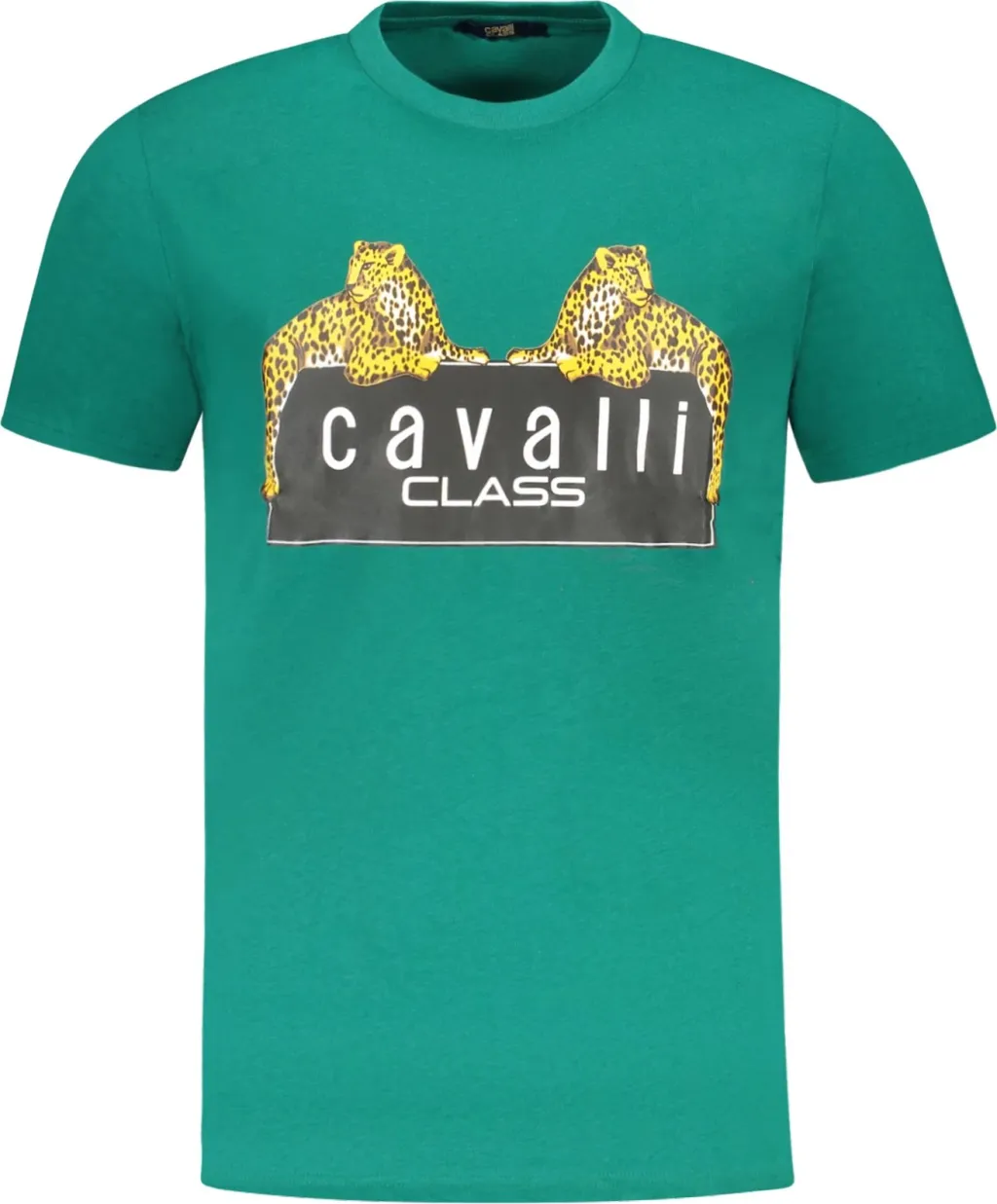 Maicë për meshkuj CAVALLI CLASS, e gjelbër - 1