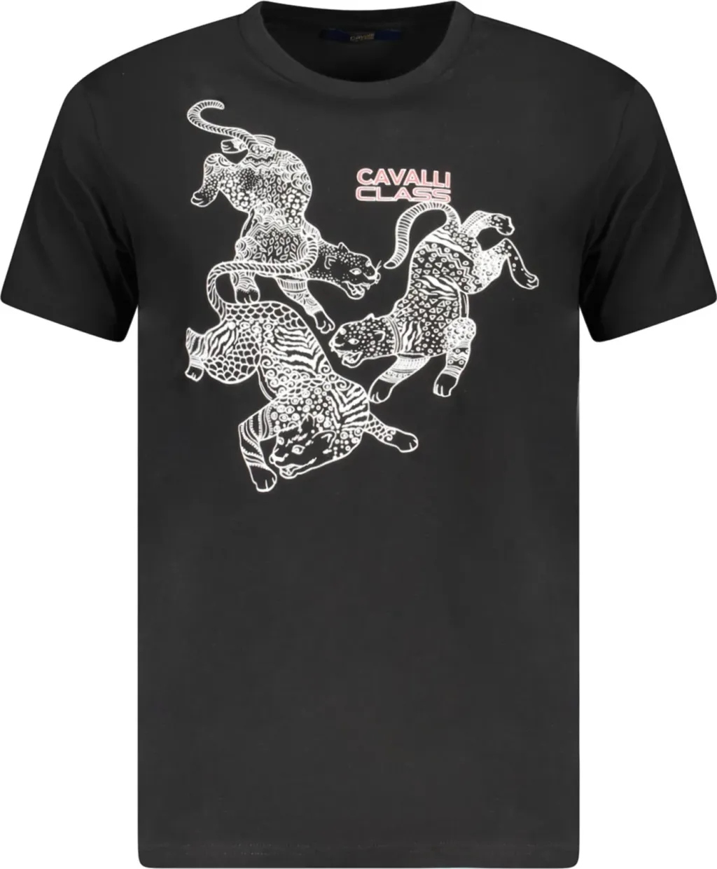 Pamja 1