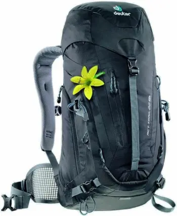 Çantë shpine Deuter, unisex