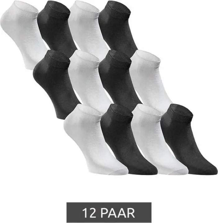 Pamja 2