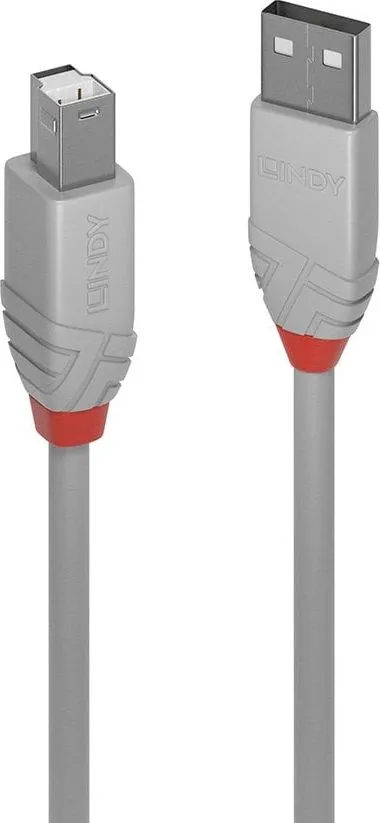 Kabllo Lindy USB-A në USB-B, 3m, e zezë - 1