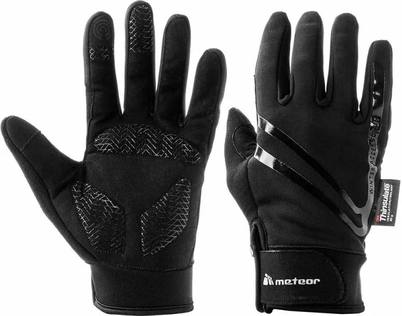 Pamja 1