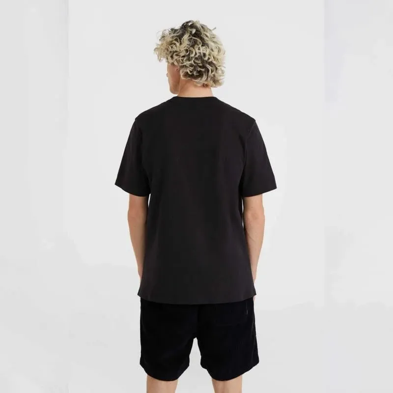 Pamja 4