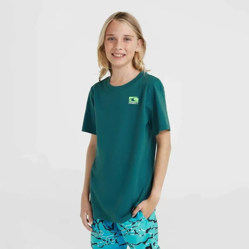 Pamja 3
