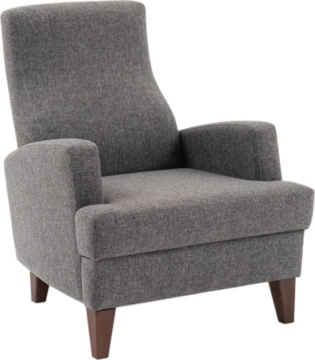 Karrige bergere Wing, ngjyrë gri e errët, Atelier del Sofa - 6