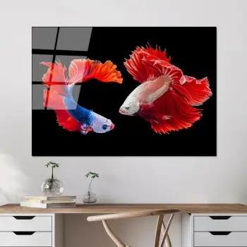 Pikturë dekorative prej xhami të temperuar, shumëngjyrëshe, Wallity UV-167, 70x100cm