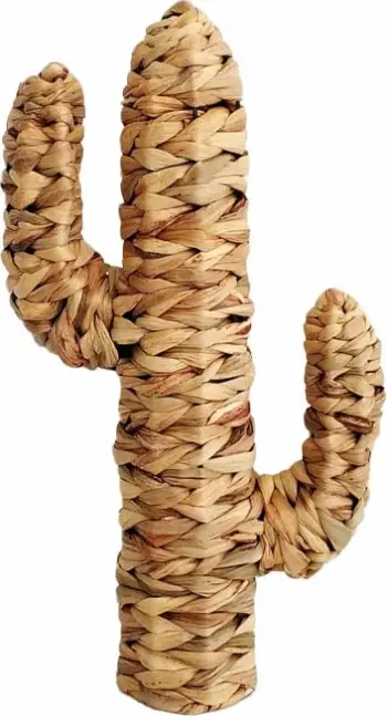 Dekor kaktusi Kea, 25x9x45cm, kashtë deti, natyrale