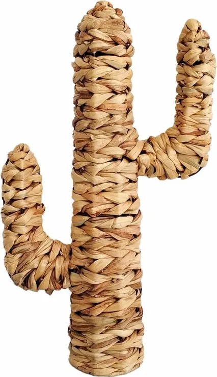 Pamja 1