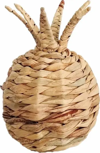 Dekor ananas Kea, kashtë deti, natyrale, 15x15x25cm