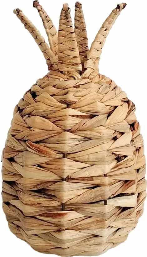 Pamja 1