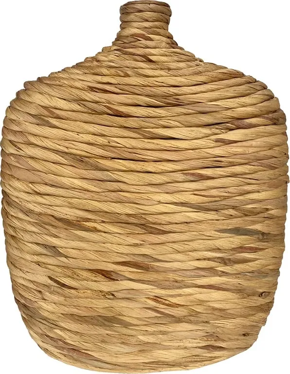 Pamja 1