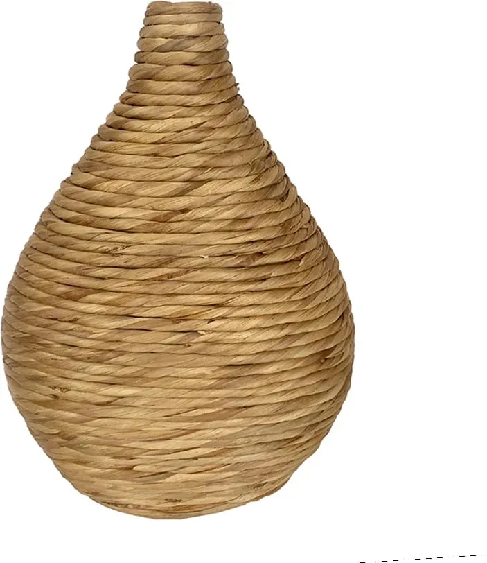 Pamja 1