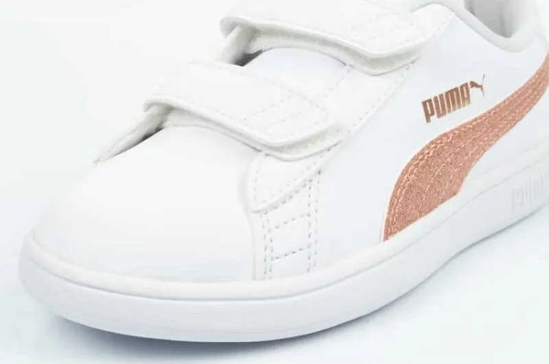 Pamja 6