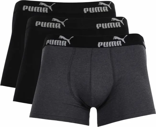 Pamja 1