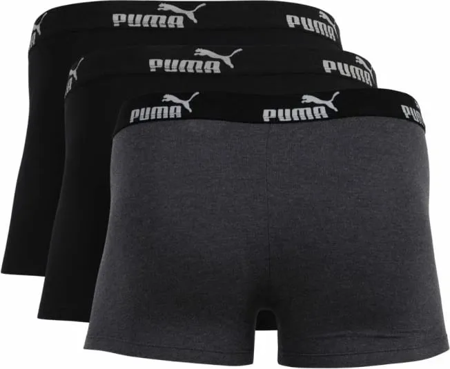 Pamja 2