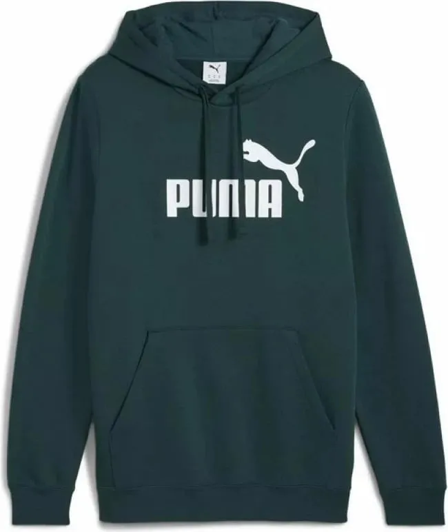 Pamja 1