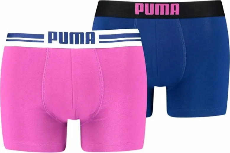 Pamja 1