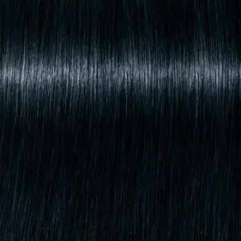 Ngjyrë për flokë Schwarzkopf Igora Royal, Cendre 1-1, 60 ml
