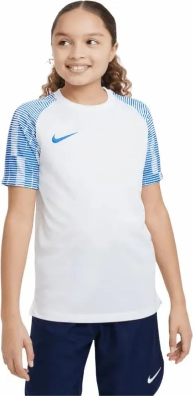 Pamja 3