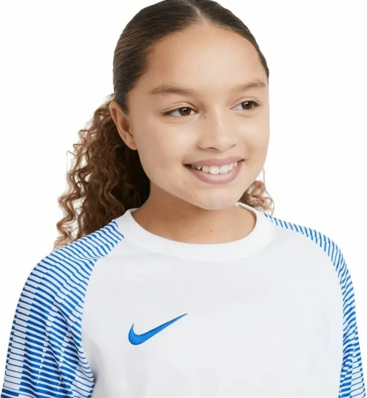 Pamja 4