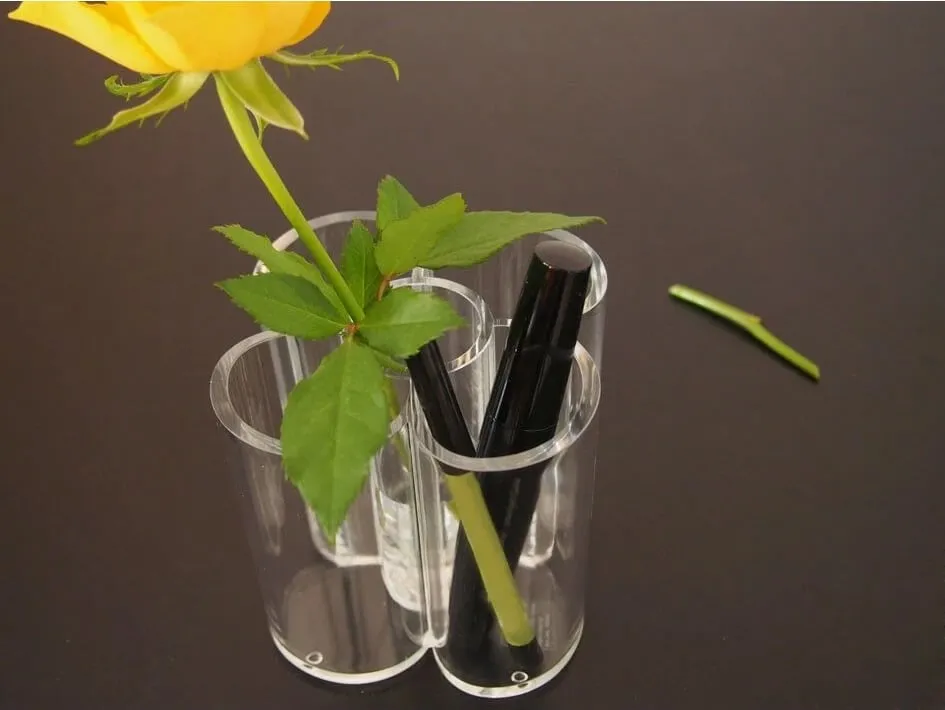 Pamja 2