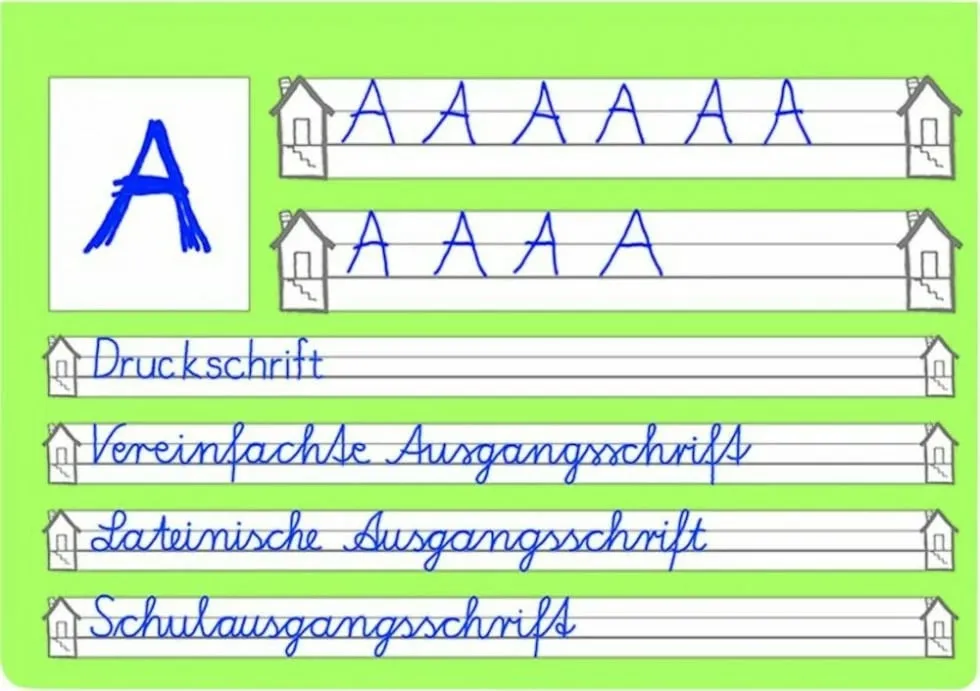 Pamja 3