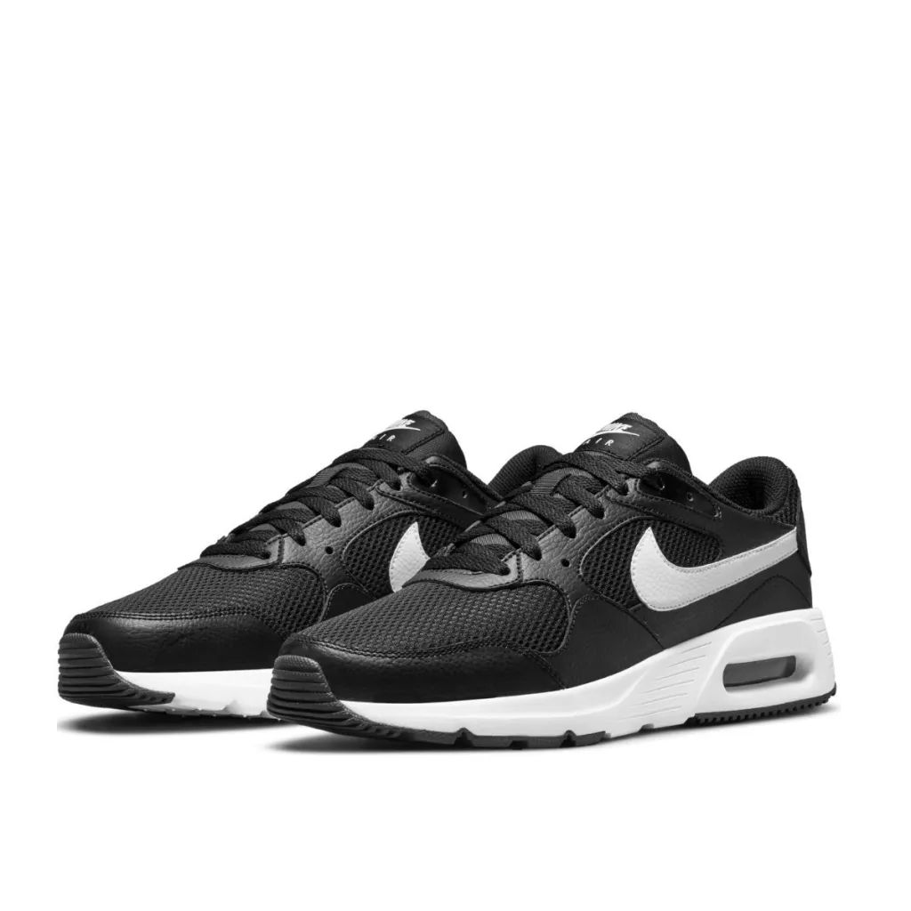 Pamja 2