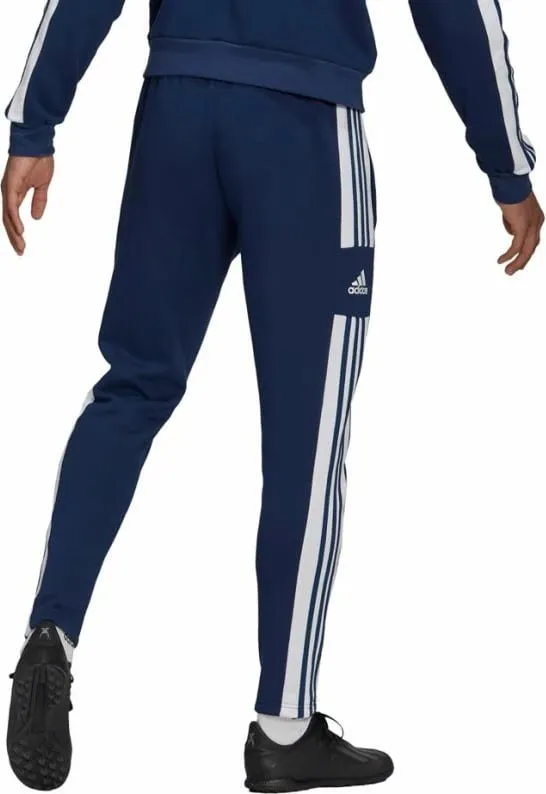 Pamja 3