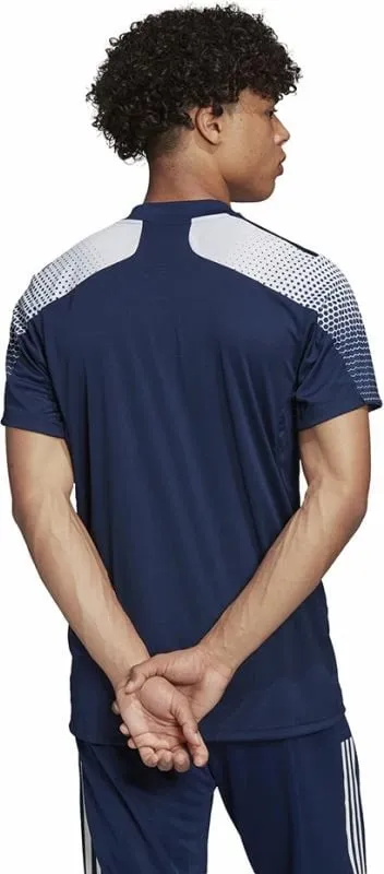 Pamja 4