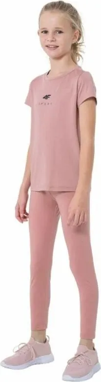 Pamja 4