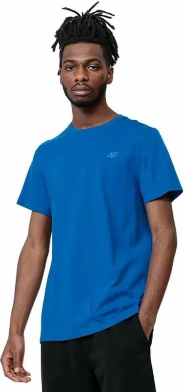 Pamja 3