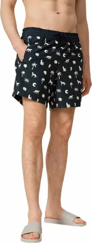 Pamja 2