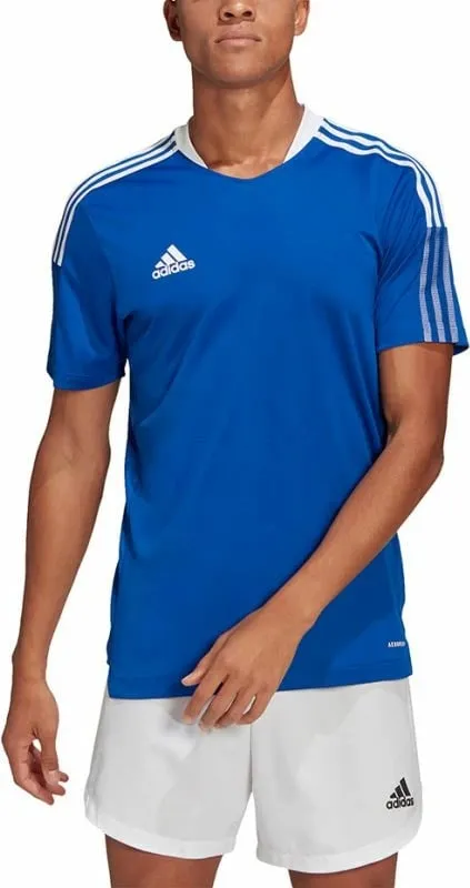 Pamja 2