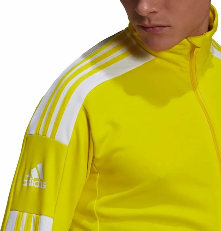 Pamja 3