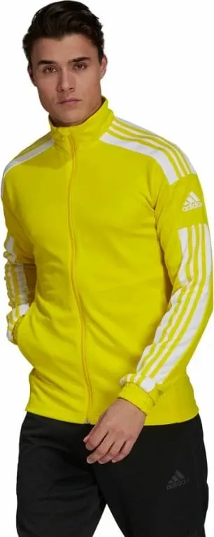 Pamja 6