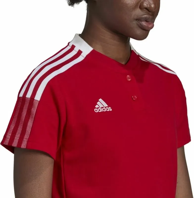 Pamja 4