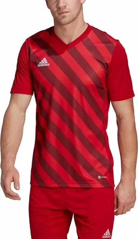 Pamja 5