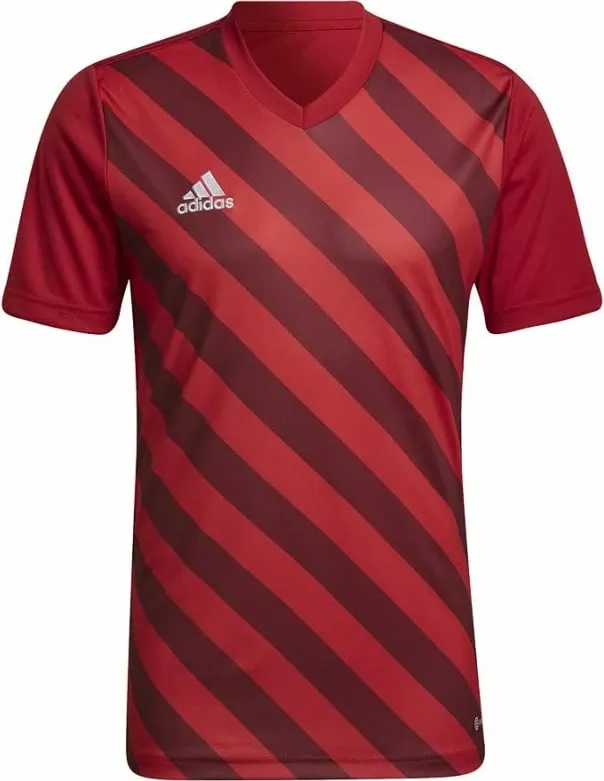 Pamja 8