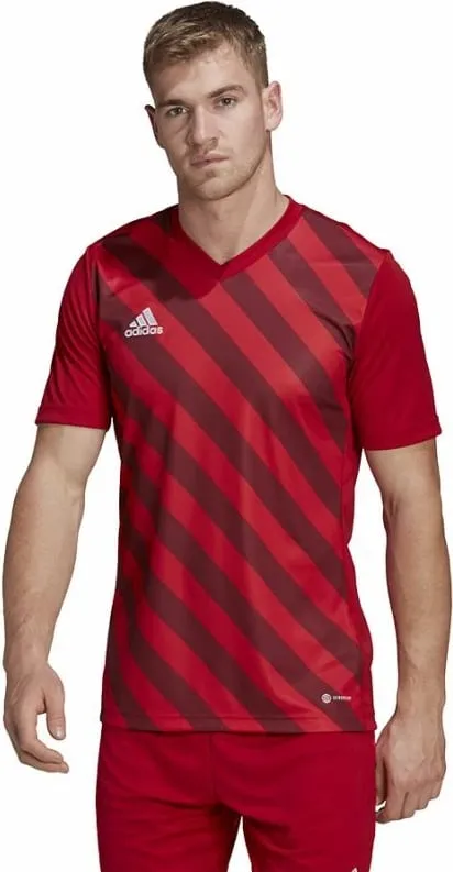 Pamja 10