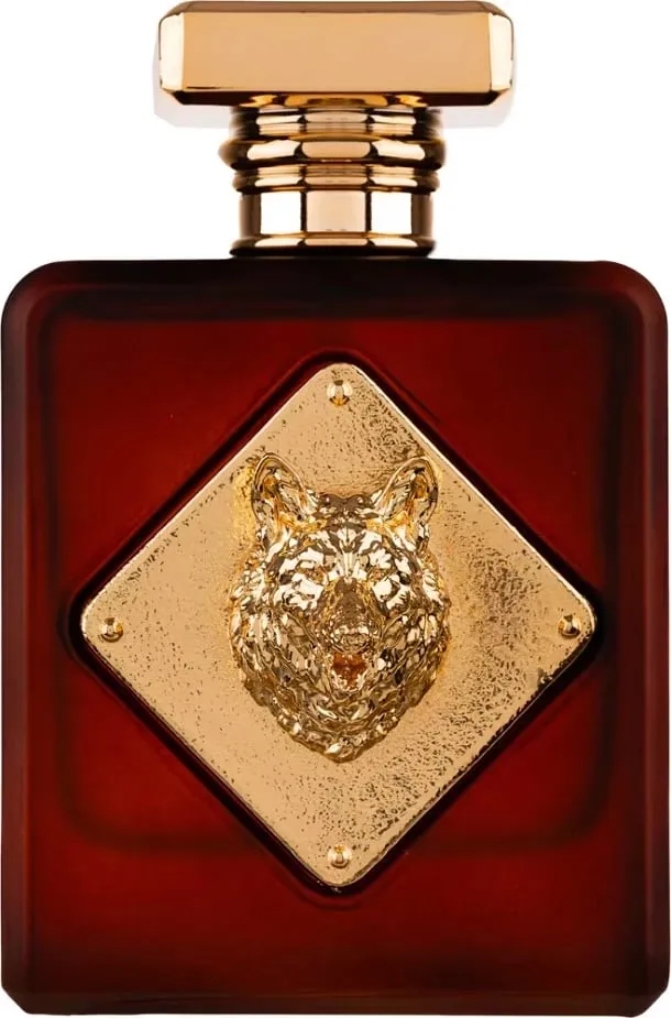 Eau de Parfum Fragrance World Alpha 100ml - 1