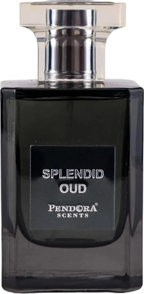 Eau de Parfum Pendora Scents Splendid Oud 100ml - 1