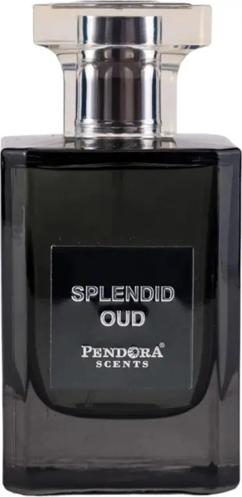 Eau de Parfum Pendora Scents Splendid Oud 100ml