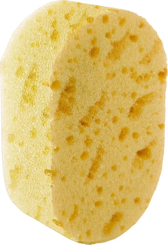 Pamja 1
