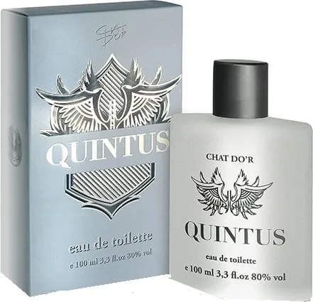 Eau de Toilette për meshkuj Chat D'or Quintus 100ml - 1