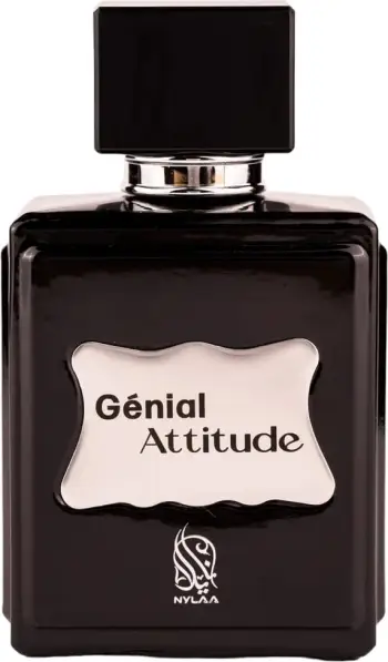 Parfum Nylaa Genial Attitude, EDP 100ml, për meshkuj, aromë drunore aromatike pikante