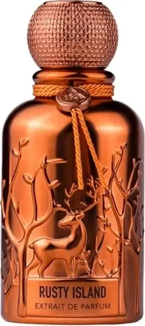 Eau de Parfum unisex Auraa Desire Rusty Island 100ml