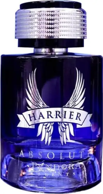 Eau de Parfum për meshkuj Pendora Scents Harrier Absolute 100ml