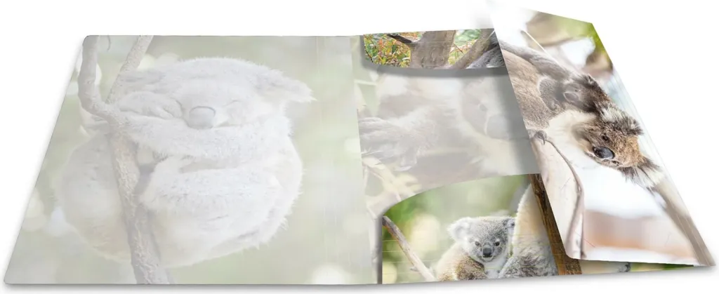 Folder dokumentesh Herma A4 Glossy Koala, plastik, shumëngjyrësh - 3