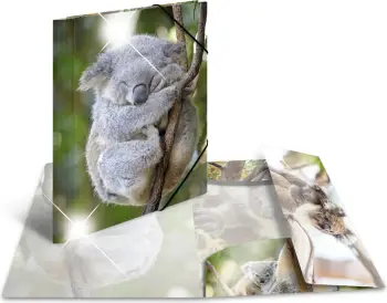 Folder dokumentesh Herma A4 Glossy Koala, plastik, shumëngjyrësh