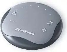 Altoparlant konferencash AVerMedia AS315, USB Type-C, gri